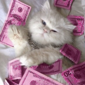 Массажистка